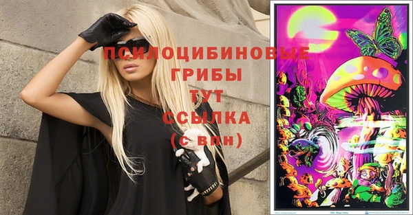 сатива Волосово