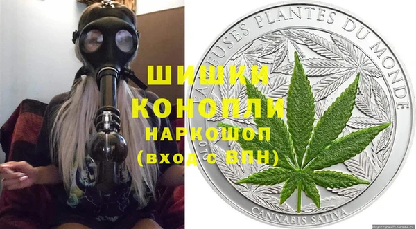 сатива Волосово