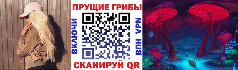 Псилоцибиновые грибы прущие грибы Купить где Кувшиново